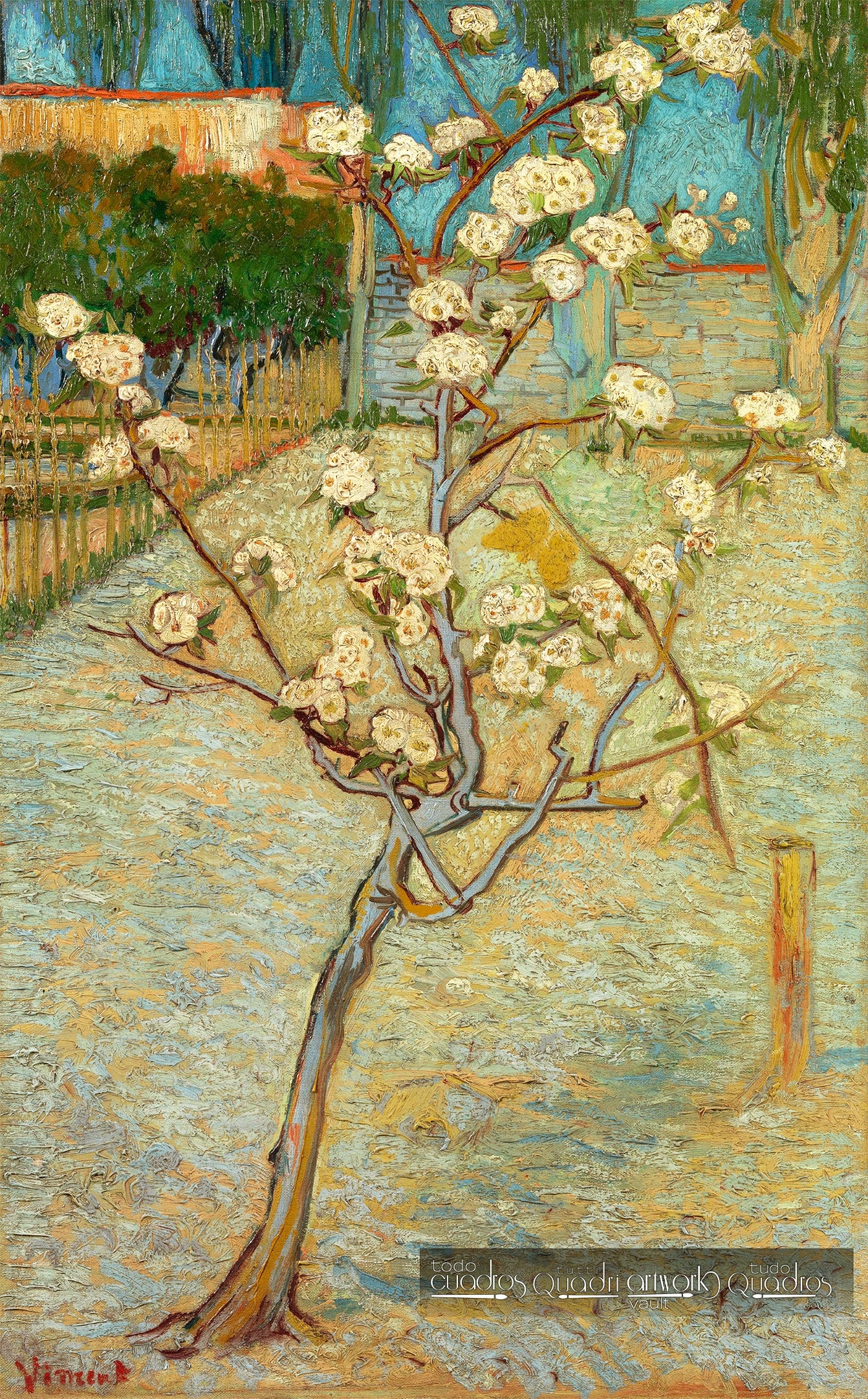 Pero in fiore, Van Gogh