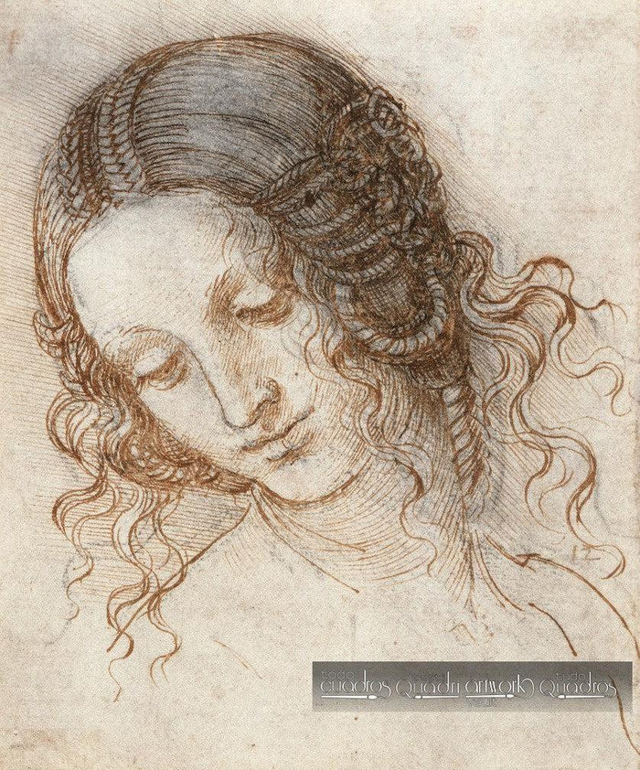 La testa di Leda, Leonardo da Vinci
