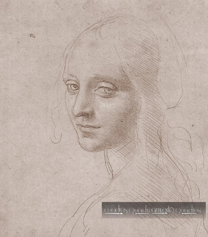Ritratto di fanciulla (studio per il volto dell'angelo della Vergine delle Rocce), Leonardo da Vinci