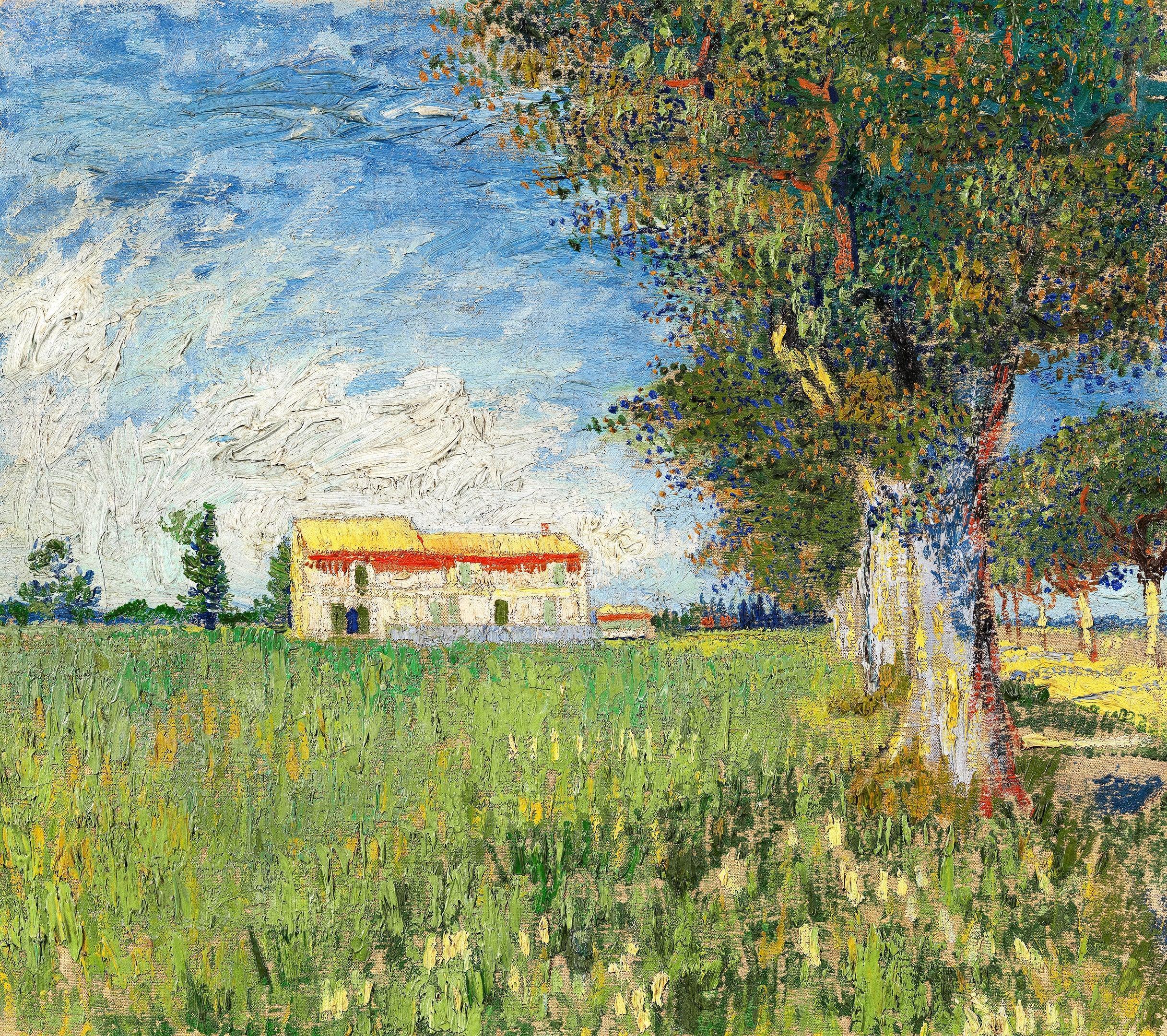 Casa nel campo di grano, Van Gogh