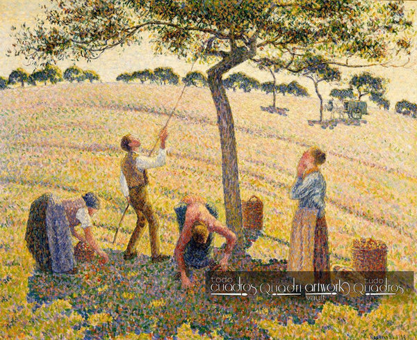 Raccolta di Mele, Pissarro