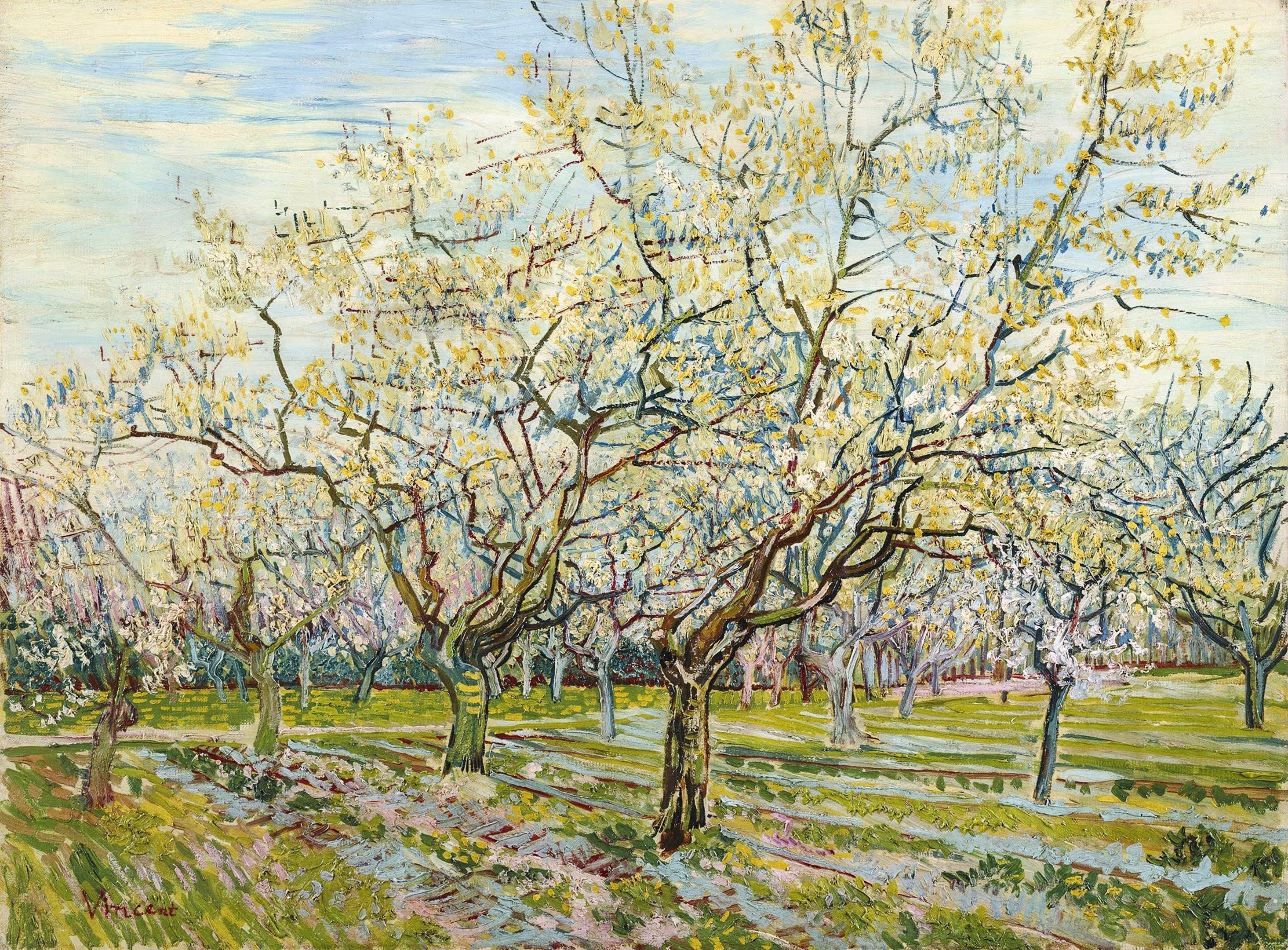 Il frutteto bianco, Van Gogh