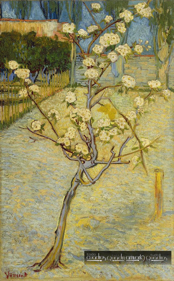 Pero in fiore, Van Gogh