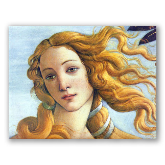 Dettaglio di "Venere" di Botticelli 